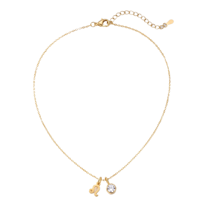 Sunoire emanco birthstone constellation double pendant diy necklace 12 zircon stainless steel birthday gift dropshipping wholesale 01 flatlay gold