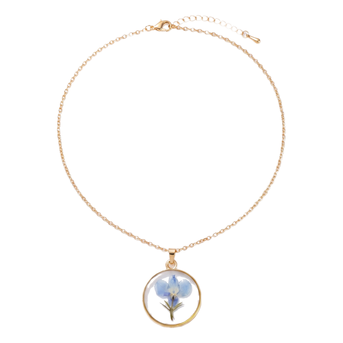 Sunoire non tarnish 18k gold plated korean bohemian pastoral small fragmented fashion dried flower charms pendant necklace for women 03 flatlay round blue larkspur